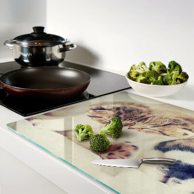 Deska kuchenna szklana Koty i piesek śpiące razem