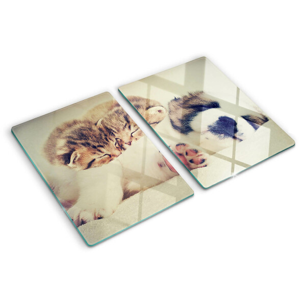 Tabla para cortar Gatos y un perro durmiendo juntos