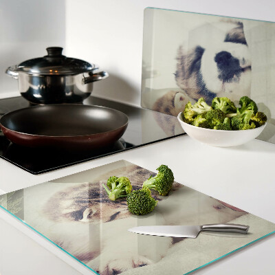 Tabla para cortar Gatos y un perro durmiendo juntos