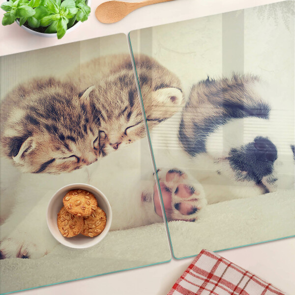 Tabla para cortar Gatos y un perro durmiendo juntos