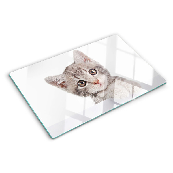 Tabla de cocina Gatito con ojos grandes
