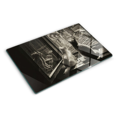 Tabla de cortar Gatos en la ventana