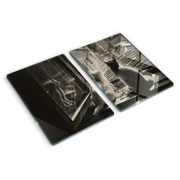 Szklana deska kuchenna Koty przy oknie