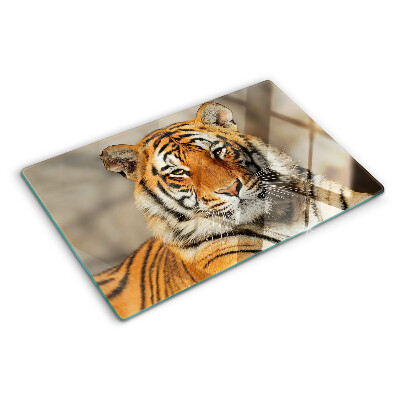 Tabla de cocina Un tigre en su estado natural.