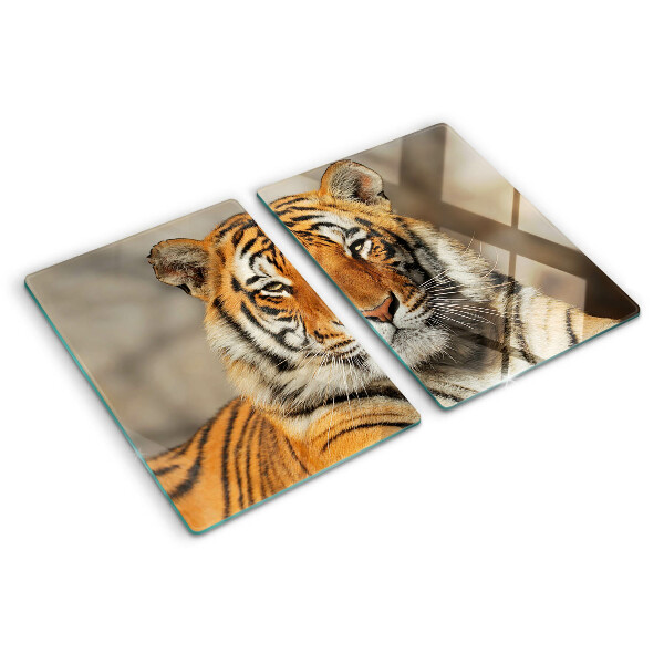 Tabla de cocina Un tigre en su estado natural.