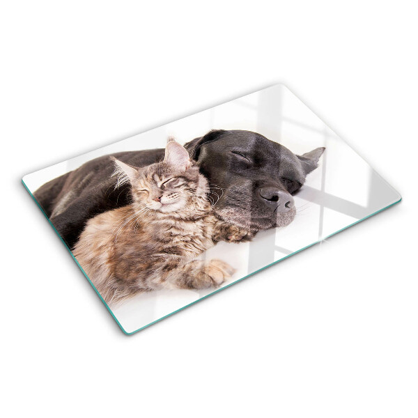 Tabla de cocina Gato y perro durmiendo juntos
