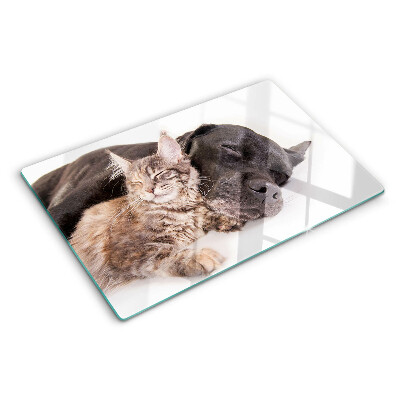 Tabla de cocina Gato y perro durmiendo juntos