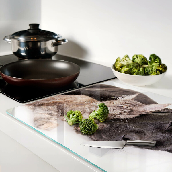 Tabla de cocina Gato y perro durmiendo juntos