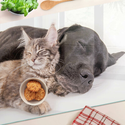 Tabla de cocina Gato y perro durmiendo juntos