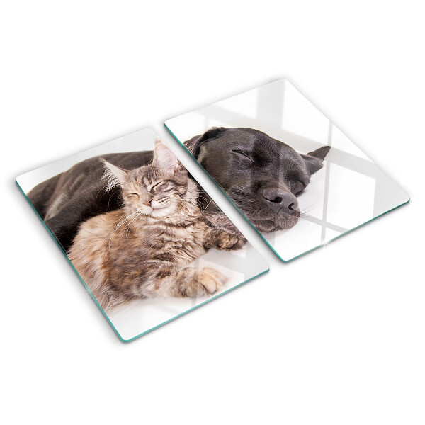 Tabla de cocina Gato y perro durmiendo juntos