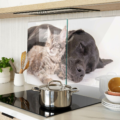 Tabla de cocina Gato y perro durmiendo juntos