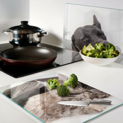 Tabla de cocina Gato y perro durmiendo juntos