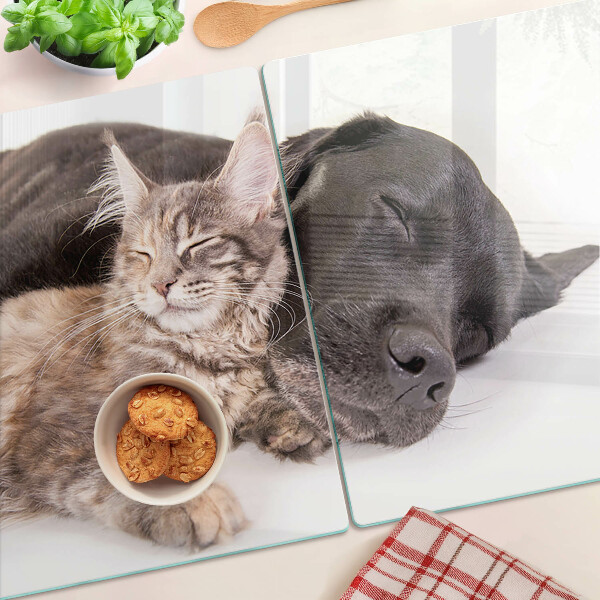 Tabla de cocina Gato y perro durmiendo juntos