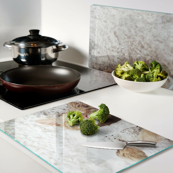 Szklana deska kuchenna Słodki kotek w sweterku