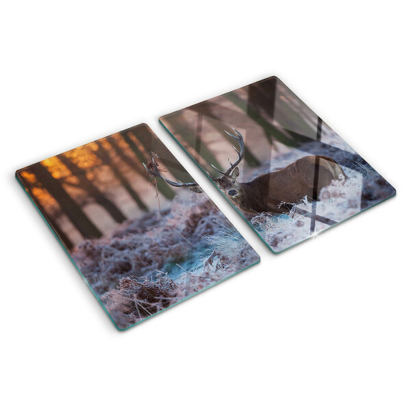 Tabla de cocina Ciervos en el bosque de invierno