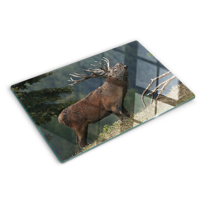 Tabla de cortar de cristal Ciervos en su hábitat natural