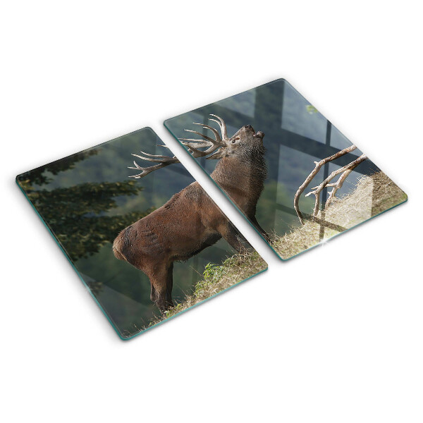 Tabla de cortar de cristal Ciervos en su hábitat natural