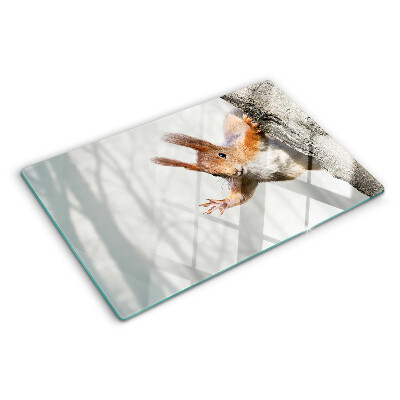 Tabla de cortar Ardilla en una rama