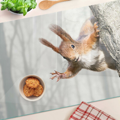 Tabla de cortar Ardilla en una rama
