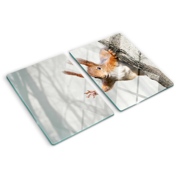 Tabla de cortar Ardilla en una rama