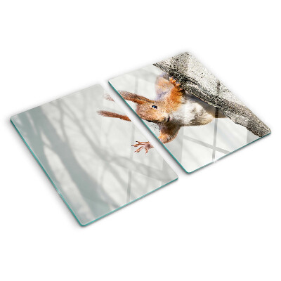 Tabla de cortar Ardilla en una rama