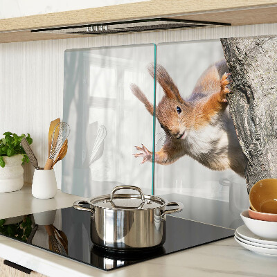 Tabla de cortar Ardilla en una rama