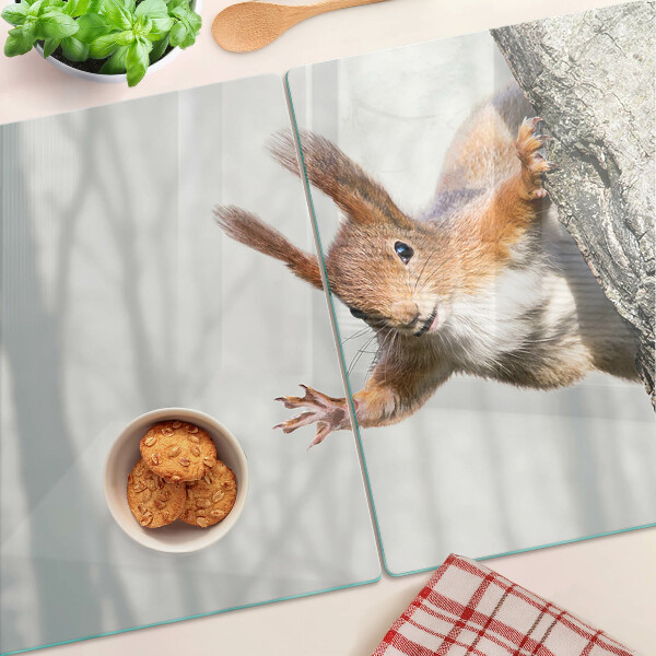 Tabla de cortar Ardilla en una rama