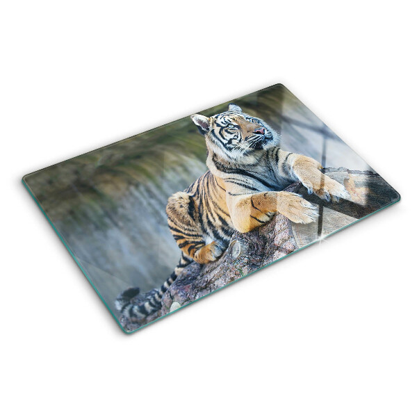 Deska kuchenna szklana Tygrys na pniu drzewa