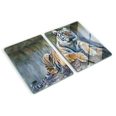 Tabla de cocina Tigre en el tronco de un árbol