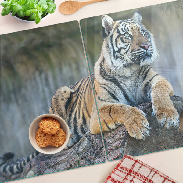 Tabla de cocina Tigre en el tronco de un árbol