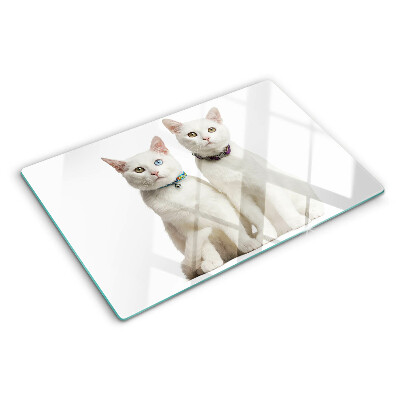 Tabla para cortar Gatos blancos con ojos de diferentes colores.