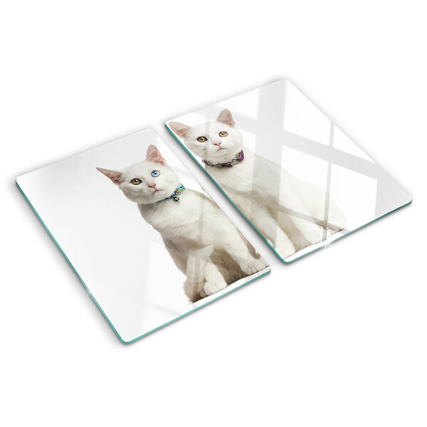 Tabla para cortar Gatos blancos con ojos de diferentes colores.