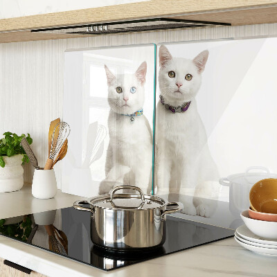 Tabla para cortar Gatos blancos con ojos de diferentes colores.