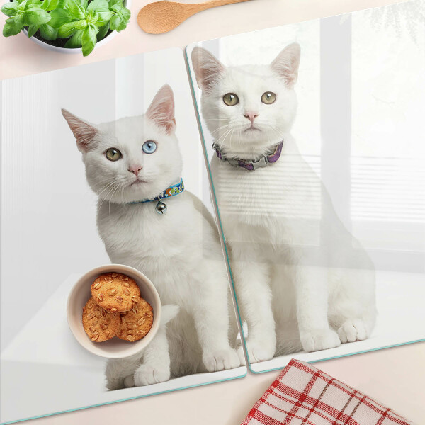 Tabla para cortar Gatos blancos con ojos de diferentes colores.