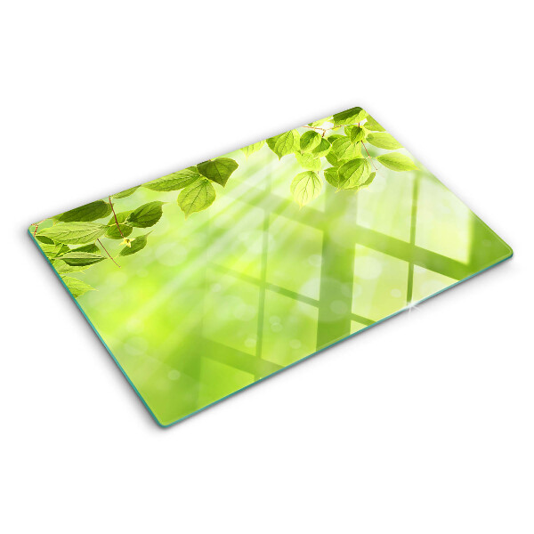 Tabla de cocina Hojas verdes contra la luz