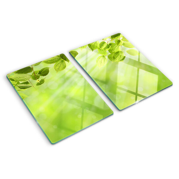Tabla de cocina Hojas verdes contra la luz