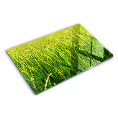 Szklana deska kuchenna Zielone pole trawy