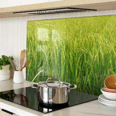 Szklana deska kuchenna Zielone pole trawy