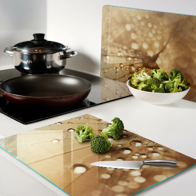 Szklana deska kuchenna Krople wody na dandelionie