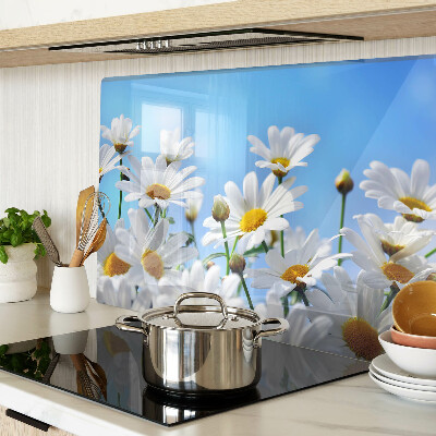 Tabla de cocina Flores de margarita sobre un fondo azul