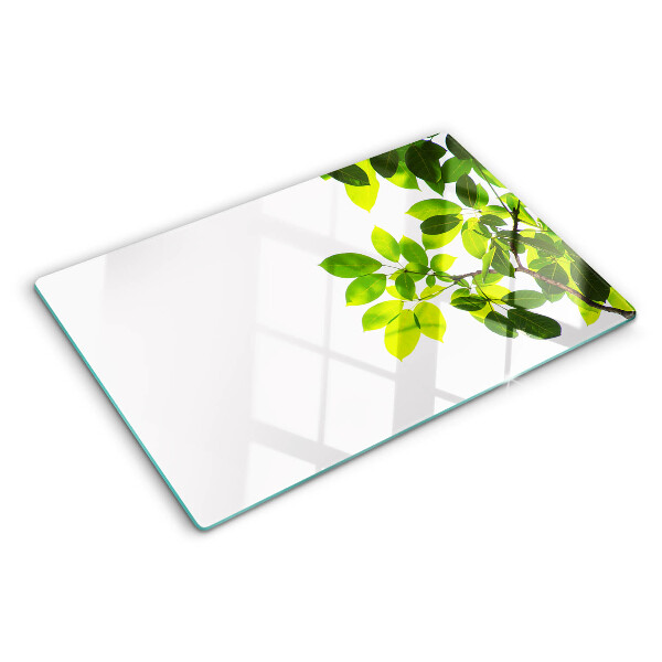 Tabla de cortar Hojas contra un cielo brillante