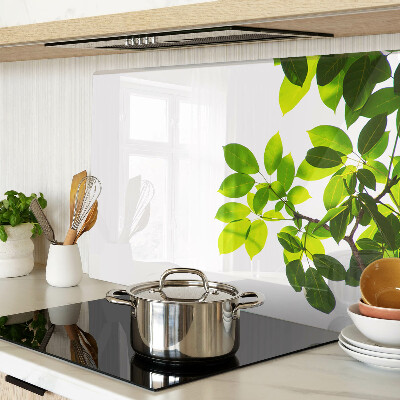 Tabla de cortar Hojas contra un cielo brillante