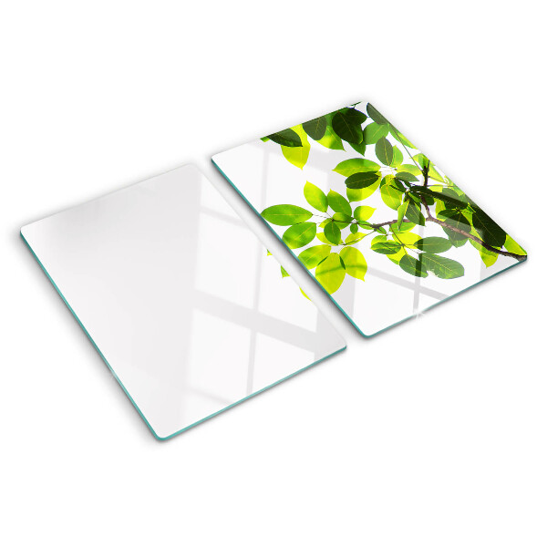 Szklana deska do krojenia Liście na tle jasnego nieba