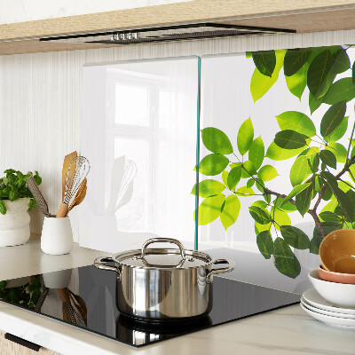 Tabla de cortar Hojas contra un cielo brillante