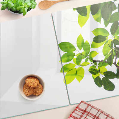 Tabla de cortar Hojas contra un cielo brillante