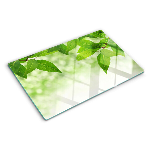Szklana deska kuchenna Liście na tle rozmytej zieleni