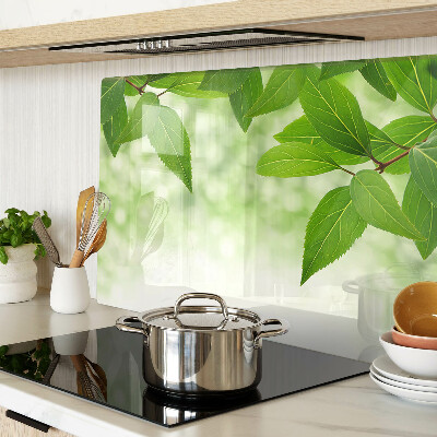 Tabla de cocina Hojas sobre un fondo de vegetación borrosa