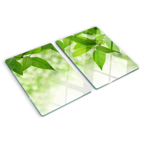 Tabla de cocina Hojas sobre un fondo de vegetación borrosa