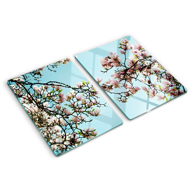 Deska kuchenna szklana Kwiaty magnolii na niebieskim tle