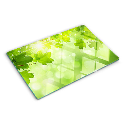 Tabla de cortar de cristal Hojas bajo los rayos del sol